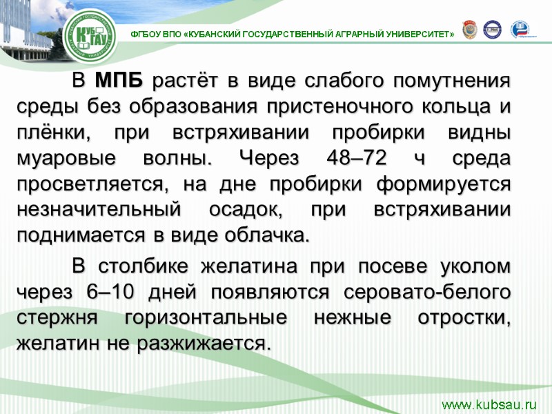 В МПБ растёт в виде слабого помутнения среды без образования пристеночного кольца и плёнки,